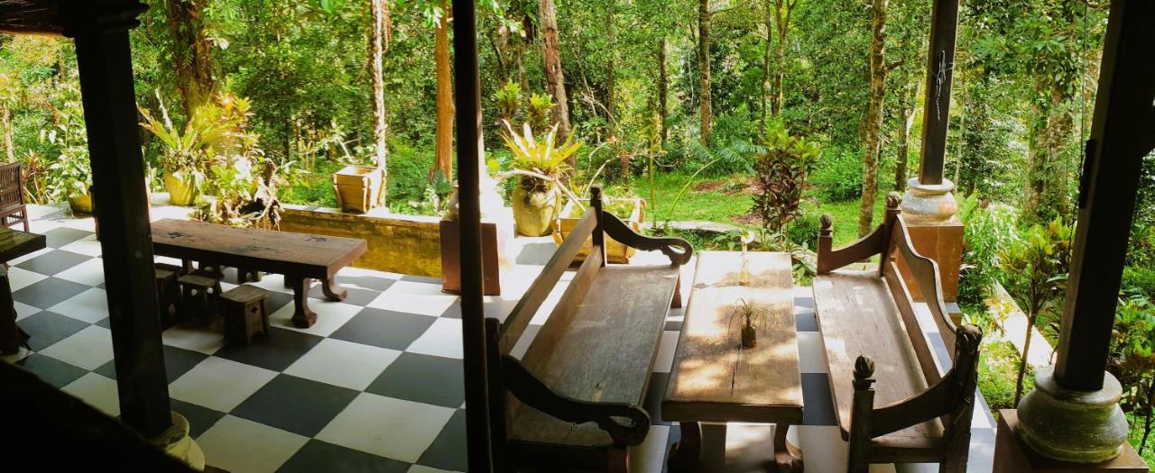 Happy Ria Homestay & Guesthouse Bukit Lawang Exterior foto
