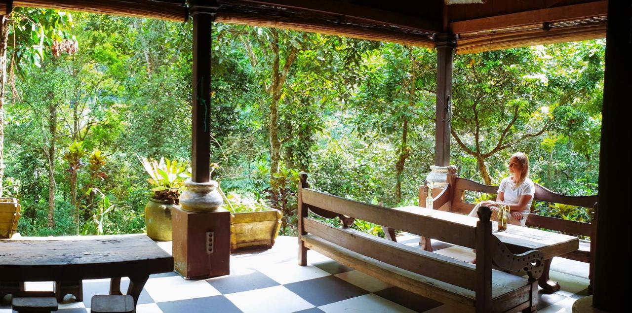 Happy Ria Homestay & Guesthouse Bukit Lawang Exterior foto